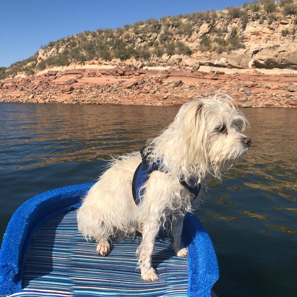 Meet your Posher, Teresa - Picture 10 of 12